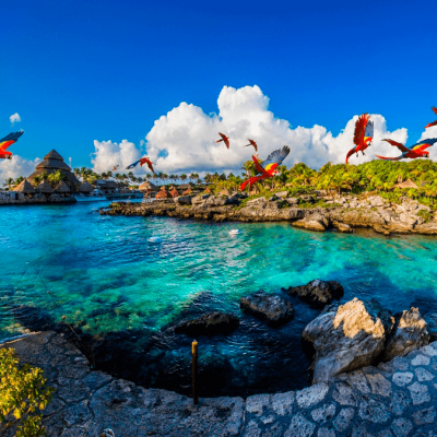 xcaret1